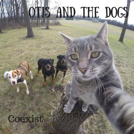 Otis and the Dogs.jpg